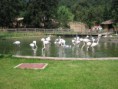 /album/zoopark/x-4ccfef82-jpg1/