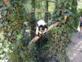 /album/zoopark/x-9218f5bd-jpg1/