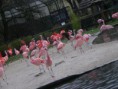 /album/zoopark/x-a363e6fb-jpg1/